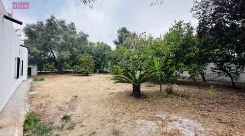 Foto 2 de Casa o chalet en venta en Carretera de Barrio Nuevo, Barrio Nuevo, Conil de la Frontera