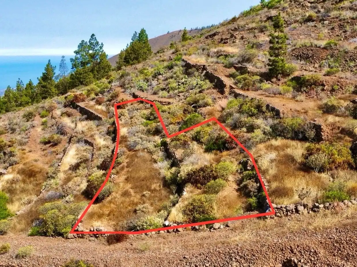 Rural land for sale in Guía de Isora interior, imagen 4