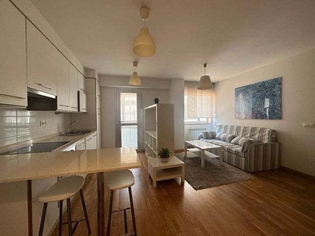 Sala d'estar de Apartament de lloguer en Santiago de Compostela  amb Calefacció, Parquet i Moblat