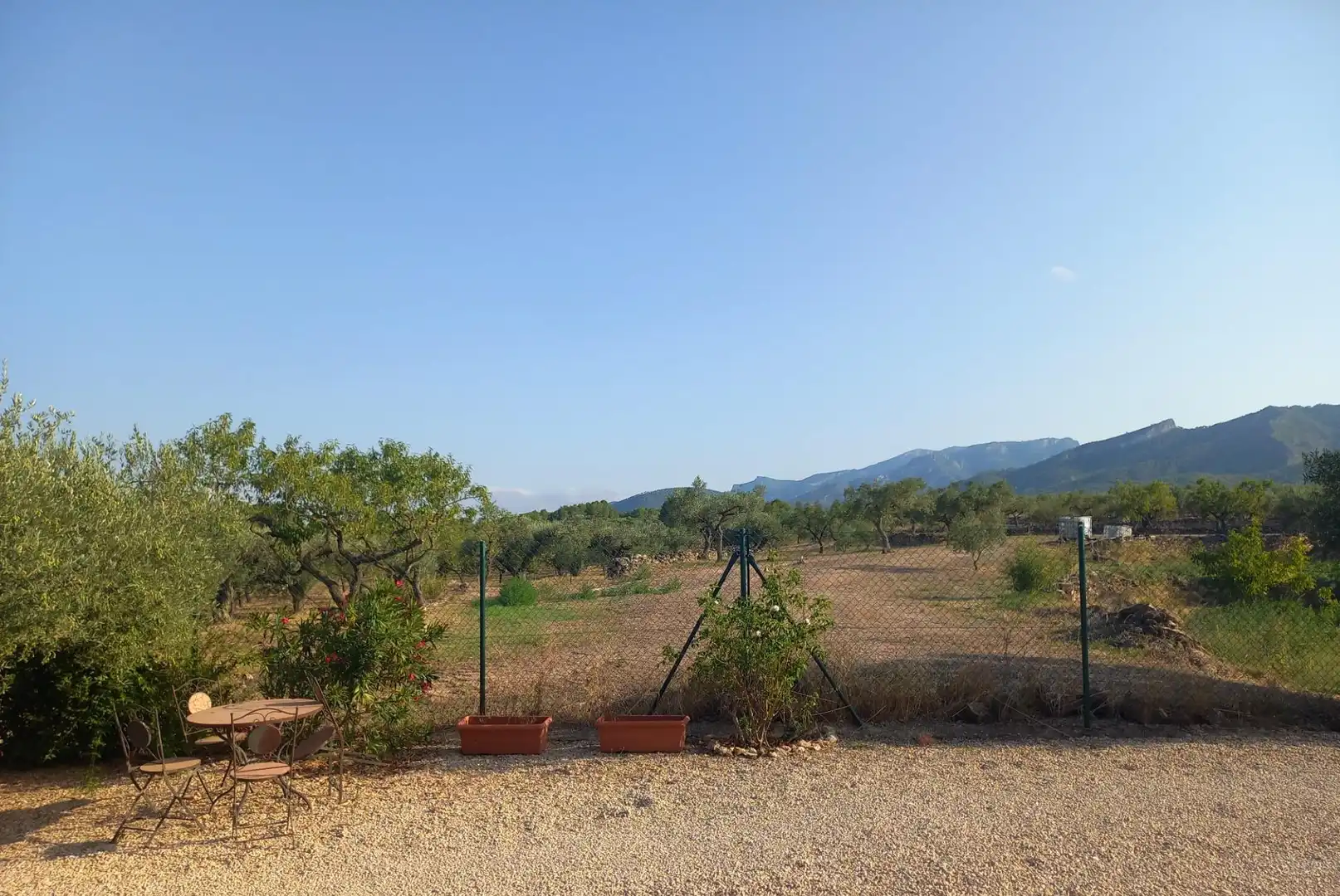 Finca rústica en venta en Rasquera