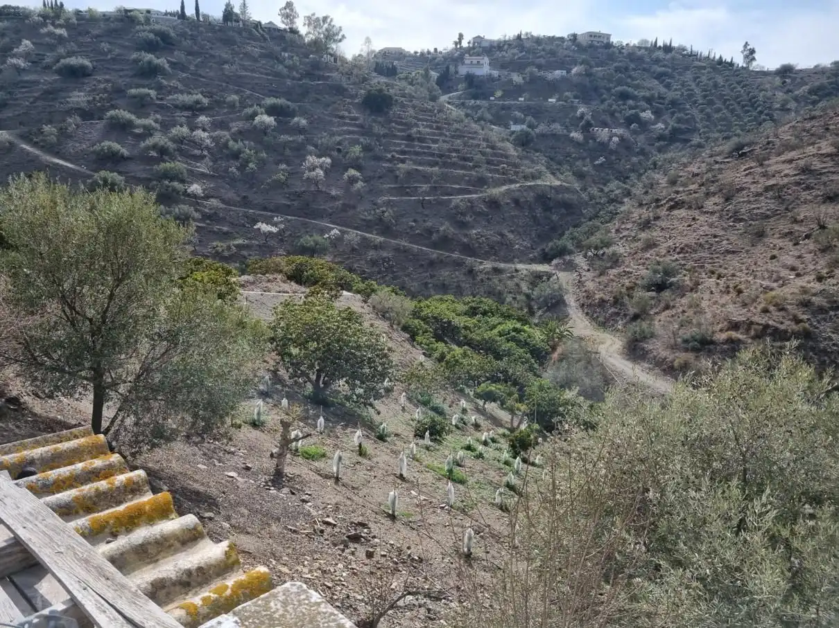 Casa rustica in vendita a Los Gómez., imagen 40