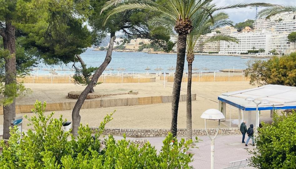 Photo 1 of Study to rent in Avenida Rei Jaume I /s. Ponsa, Santa Ponça, Illes Balears