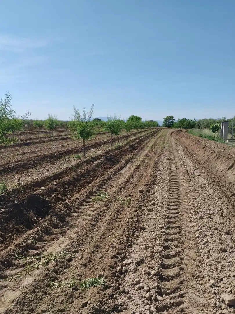 Terreni e lotti in vendita a Villa de Otura, imagen 27