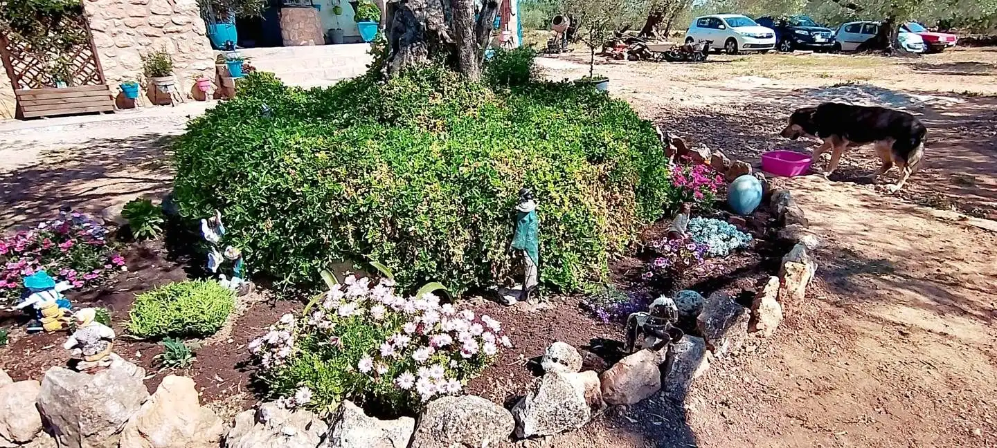 Casa con jardín en venta en Camarles, imagen 39