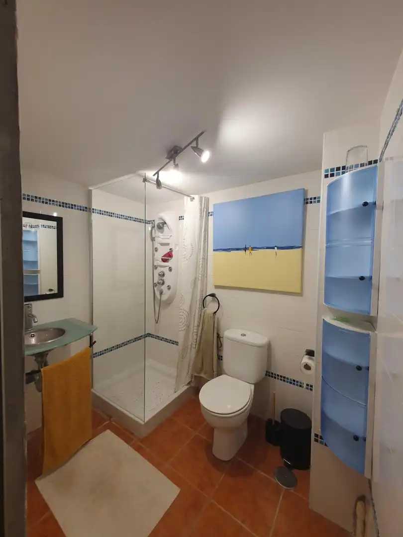 Bathroom of Detached homes for sale in Guaro