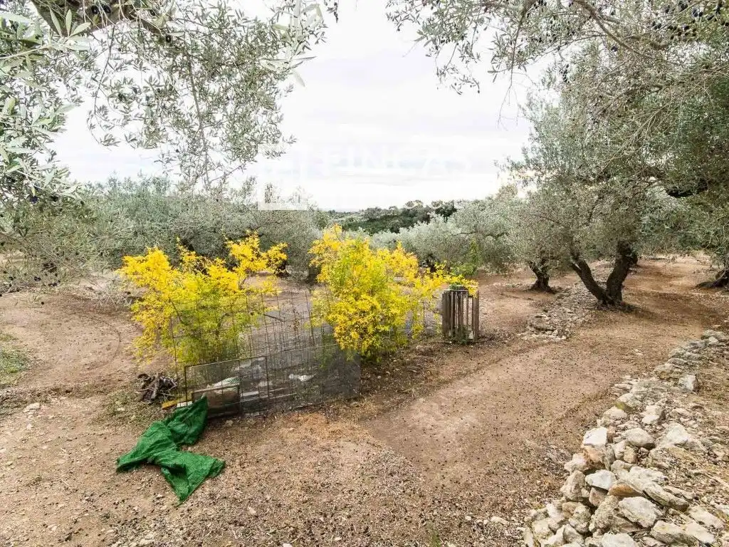Finca rústica en venda en Tortosa amb Moblat