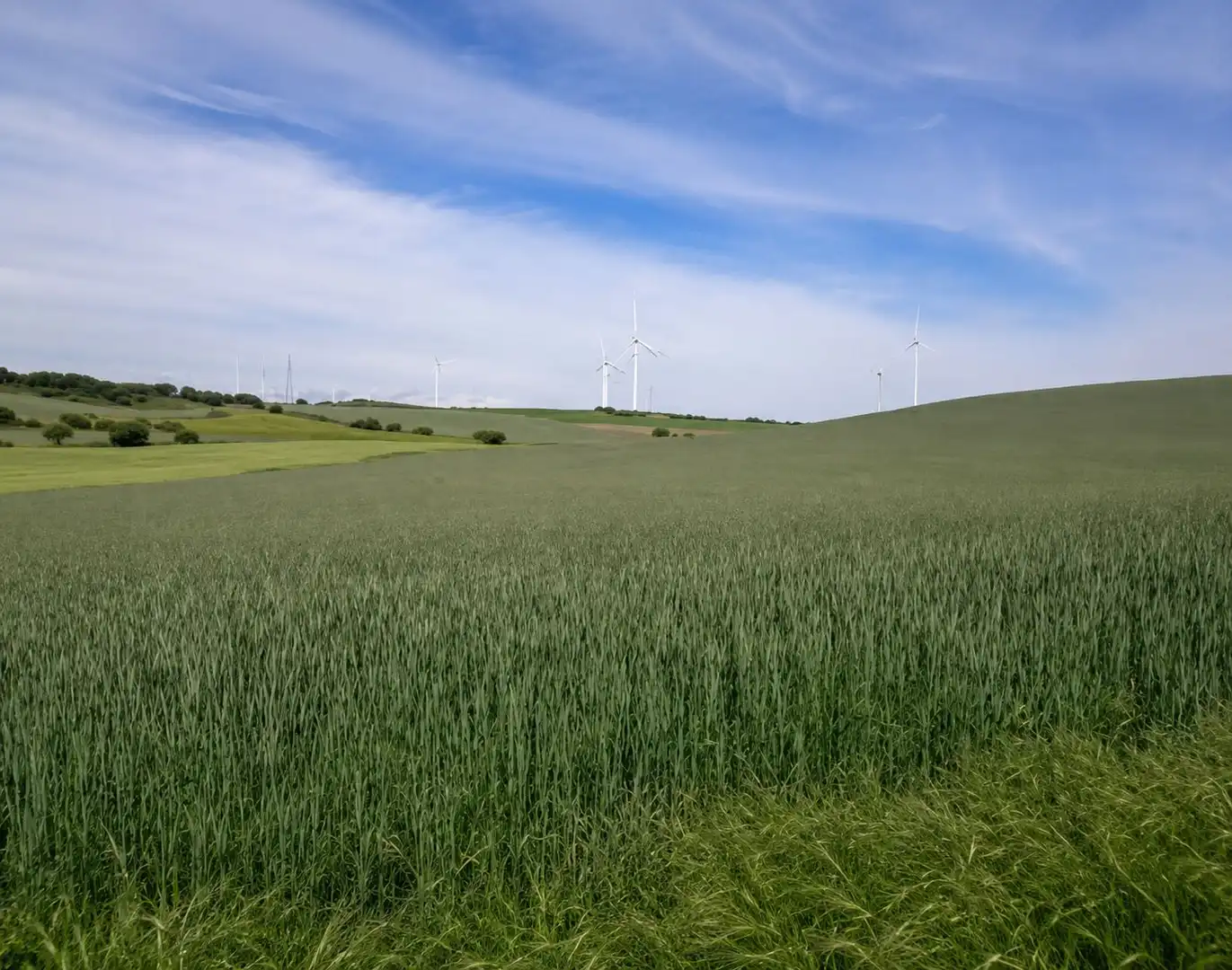 Finca rústica en venta en GURREA DE GALLEGO, Gurrea de Gállego