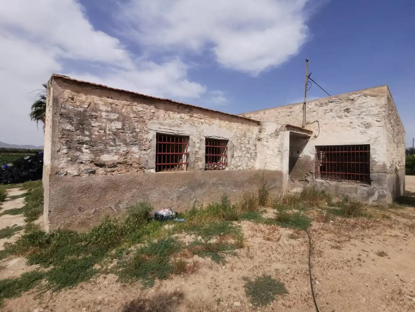 Vista exterior de Finca rústica en venda en Albatera
