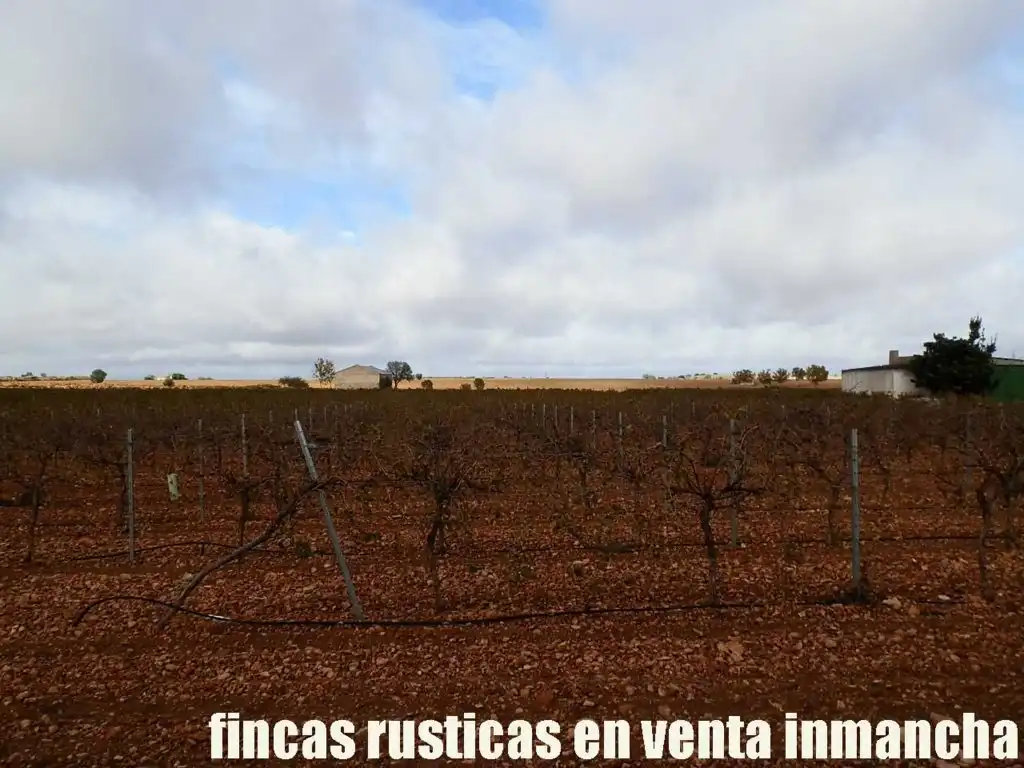 Terreno rústico en venta en Calle Socuéllamos 129, imagen 7