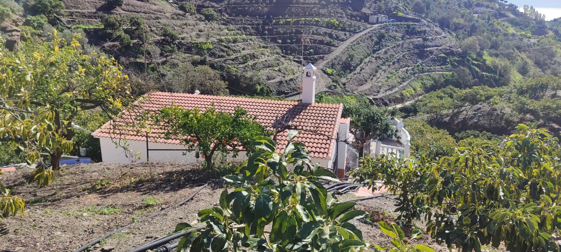 Casa rústica en venta en Torrox Pueblo, imagen 8