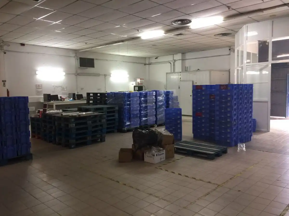 Nave industrial in affitto a La Hacienda - Nueva Andalucía, imagen 6
