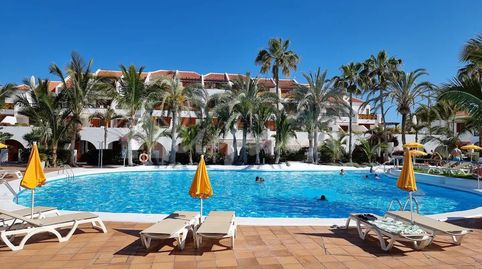 Foto 2 de Estudio en venta en Playa de las Américas, Arona