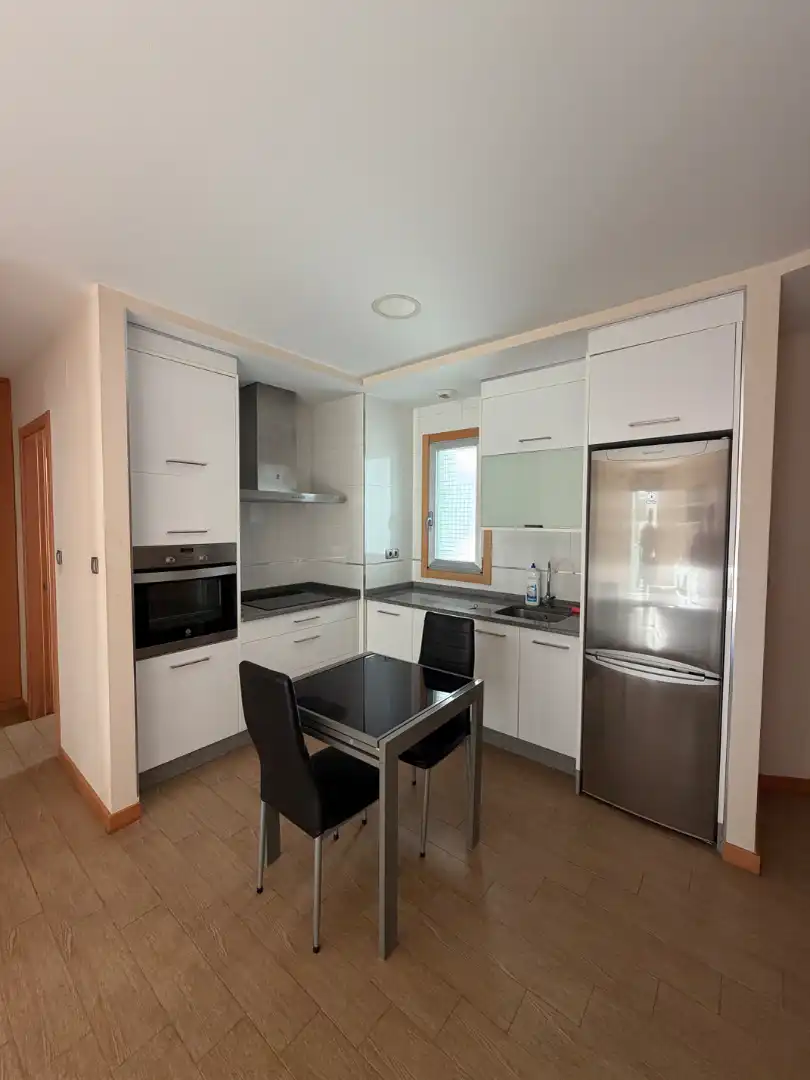 Kitchen of Apartments for rent in Centro