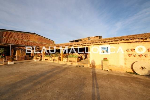 Local comercial en Venta en Vilafranca de Bonany