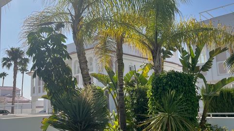 VIVIENDA EN PLANTA BAJA CON GRAN JARDÍN PRIVADO Y PISCINA COMUNITARIA EN LO MARABU, CIUDAD QUESADA, ALICANTE, COSTA BLANCA SUR, imatge 3