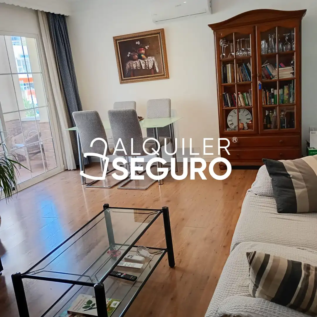 Living room of Flat for rent in Málaga Capital  with Air Conditioner, Terrace and Furnished
