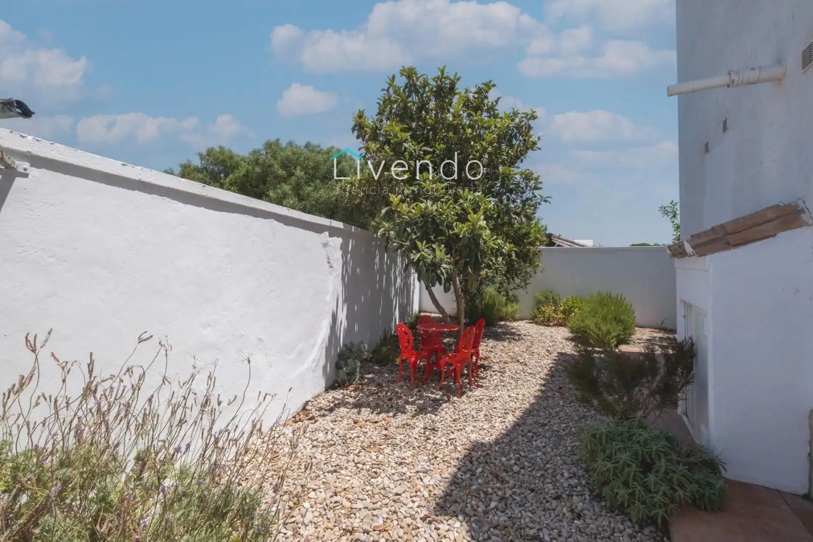 Adossat amb piscina en venda a de la yeguada, imagen 59