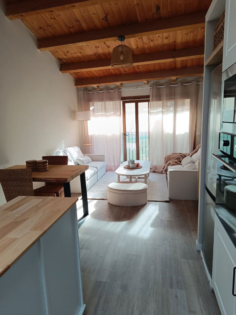 Living room of Duplex for sale in Ripoll  with Furnished