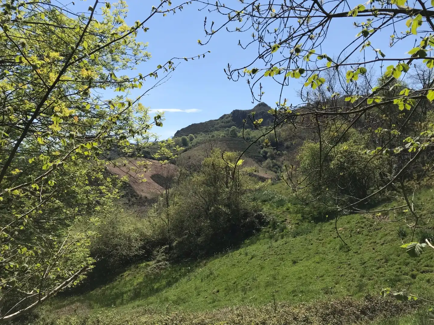 Terreno rustico in vendita a Cangas de Onís, imagen 3