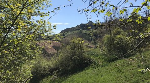 Venta de cuadra de piedra en finca rústica de 18.370 m2 en zona PreParque Nacional, immagine 3