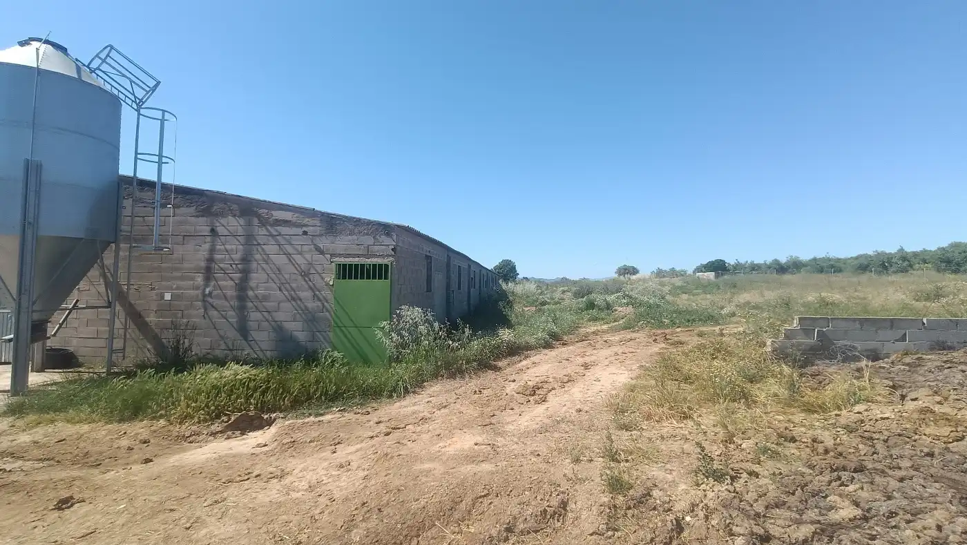 Nau industrial en venda en Marçà