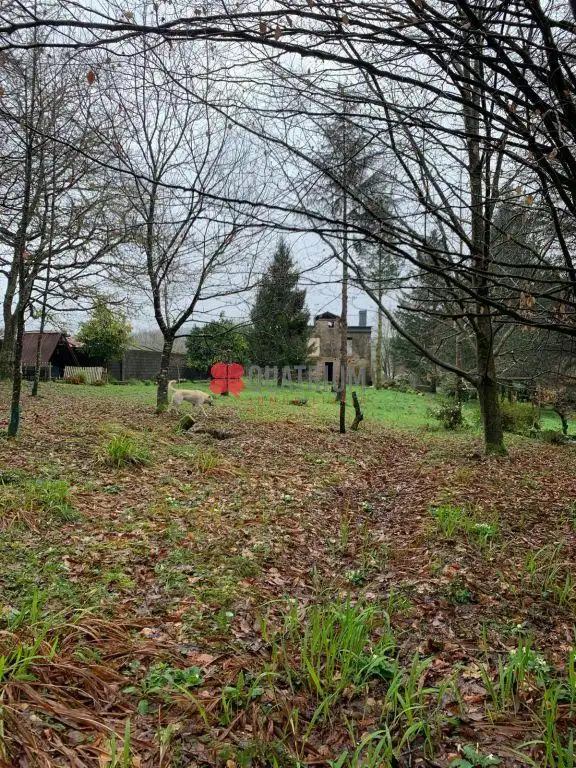 Casa o xalet en venda en Ames amb Jardí privat