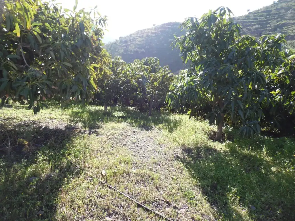 Casa rustica con giardino in vendita a Viñuela, imagen 20