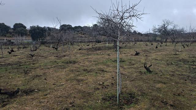 Terreno en Venta en N/A, -1 en Cenicientos