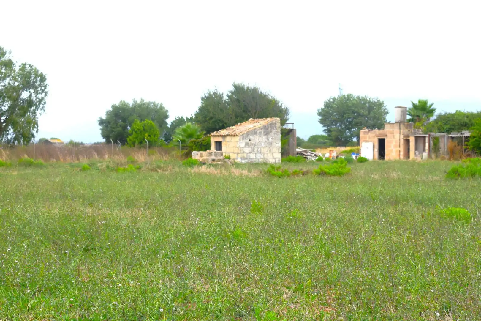 Terreny rústic en venda a Muro, imagen 4