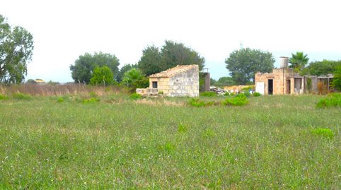 Finca rústica con caseta de herramientas en Muro, immagine 4