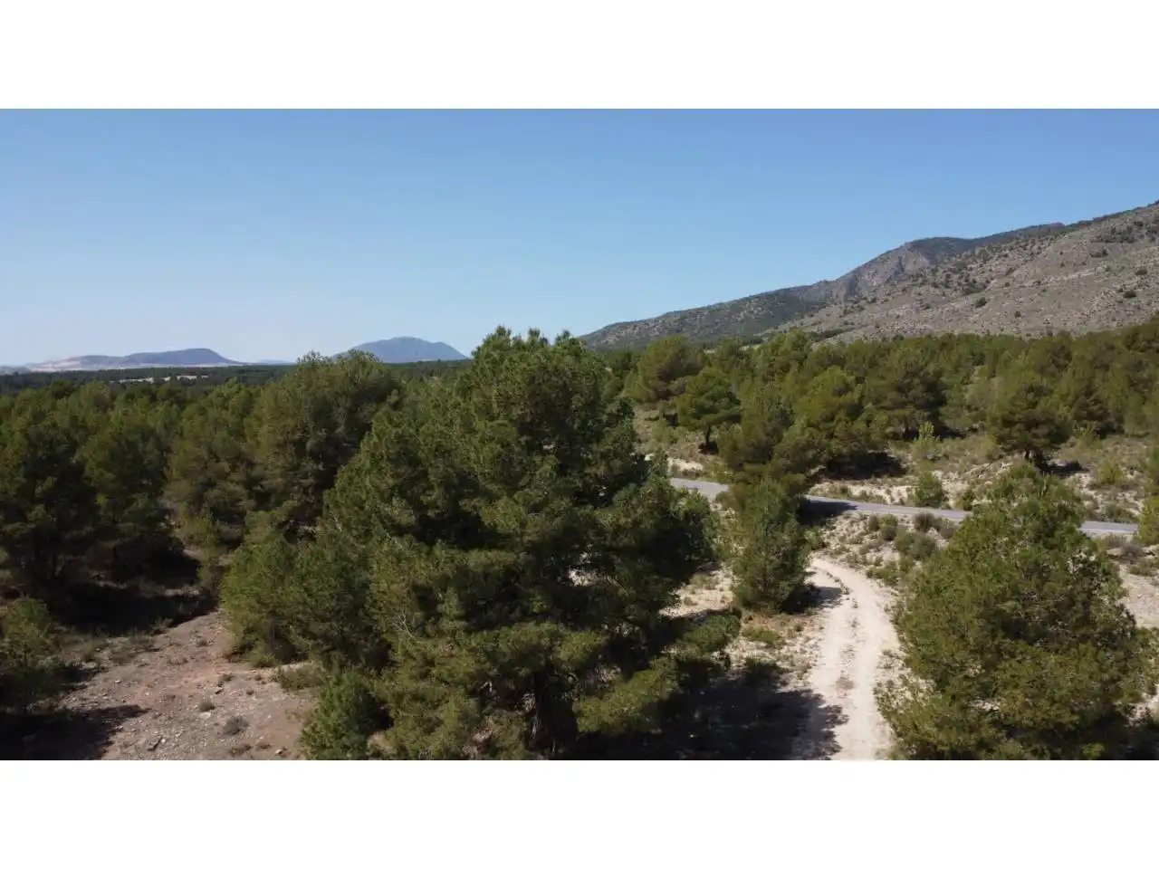 Terreno rustico in vendita a Carretera Llano de Béjar, imagen 19