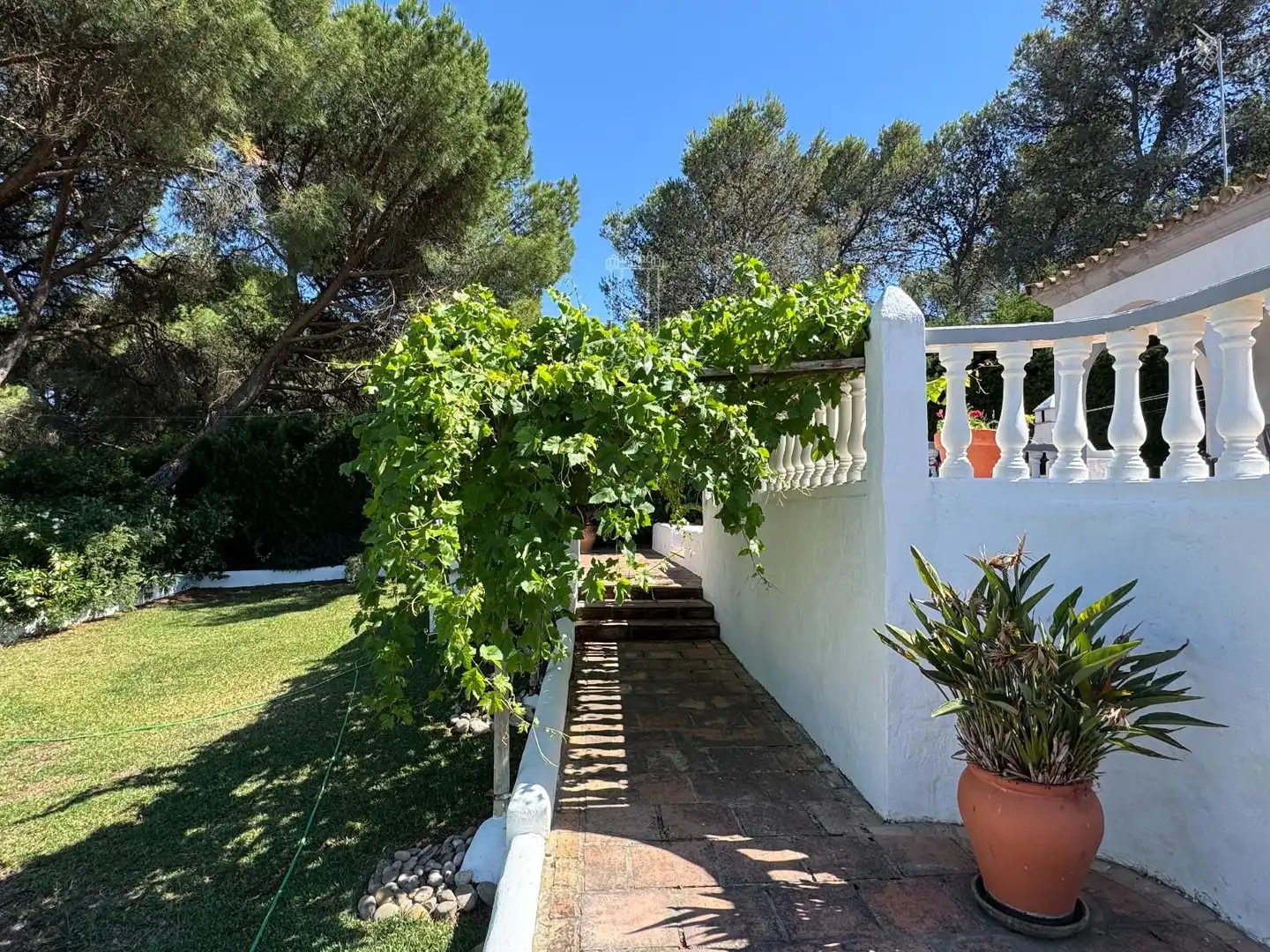 Jardí de Casa o xalet en venda en Vejer de la Frontera amb Aire condicionat i Piscina