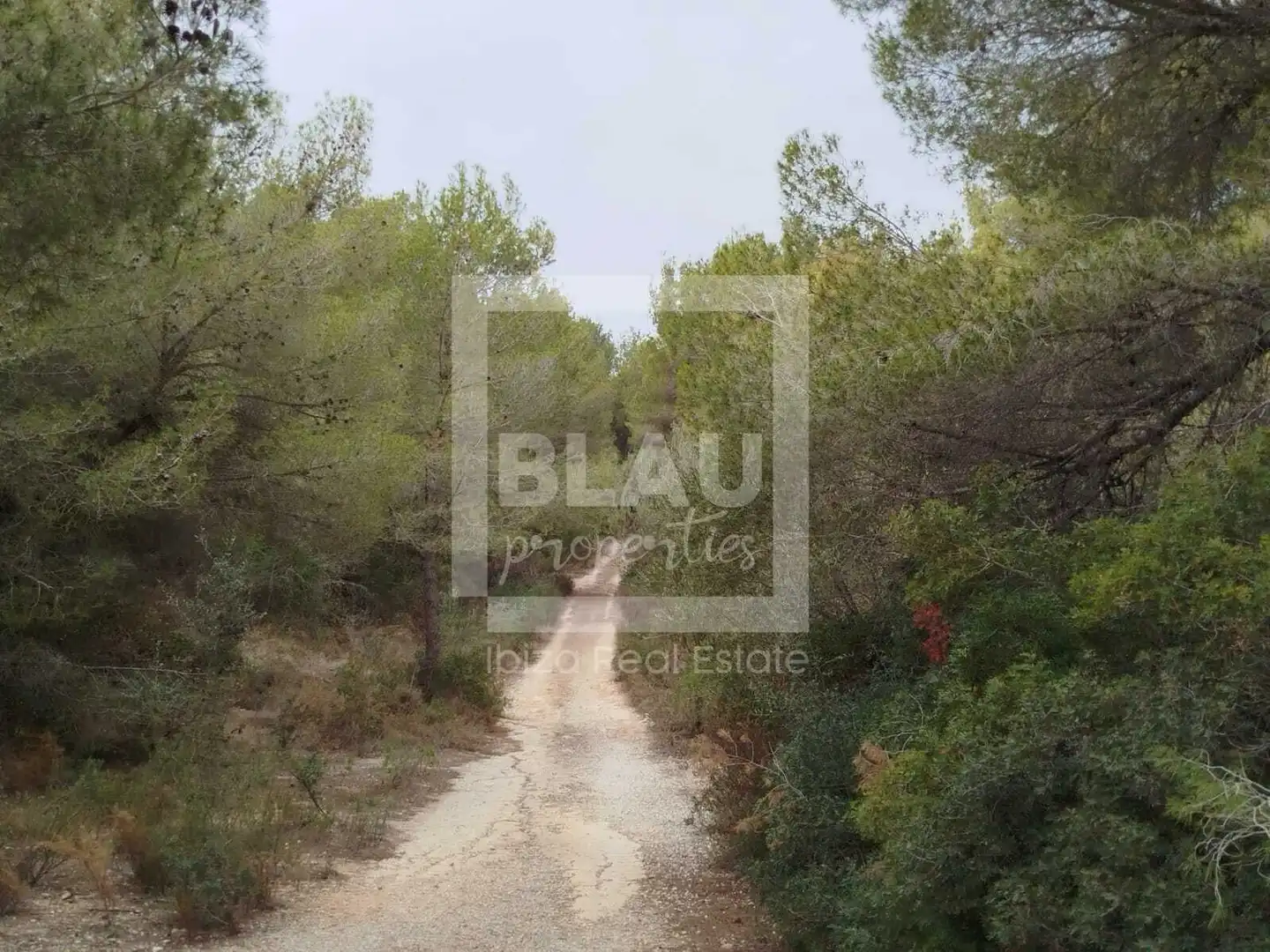 Terreno en venta en Jávea / Xàbia