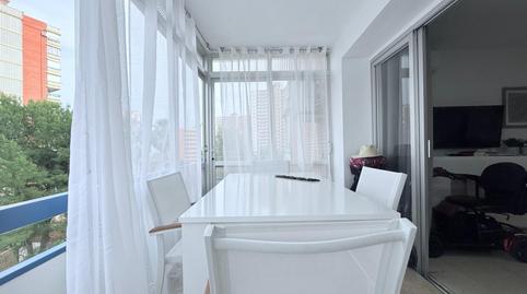 Foto 3 de Apartament de lloguer a Playa Poniente, Benidorm