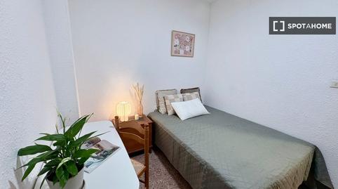 Photo 3 of Flat to share in Picanya, Valencia