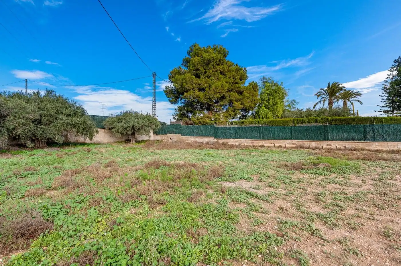 Casa o xalet en venda en Elche / Elx amb Jardí privat, Terrassa i Piscina