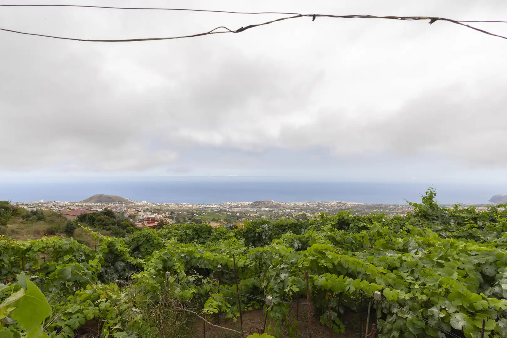 Finca rústica en venta en La Orotava con Jardín privado, Terraza y Trastero
