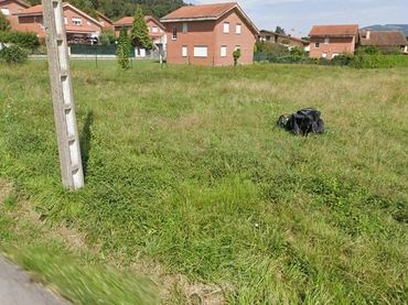 Maison avec jardin à vendre à CERRO(EL)