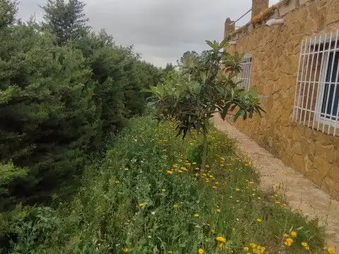 Casa rústica amb jardí en venda a Calle Diseminados 39, imagen 6