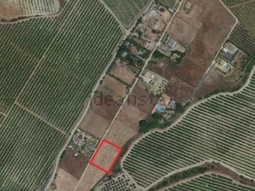 Rural land for sale in Alcolea del Río