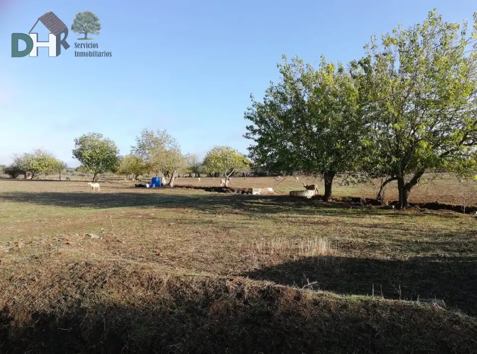 Terreni e lotti in vendita a Barcarrota, imagen 6