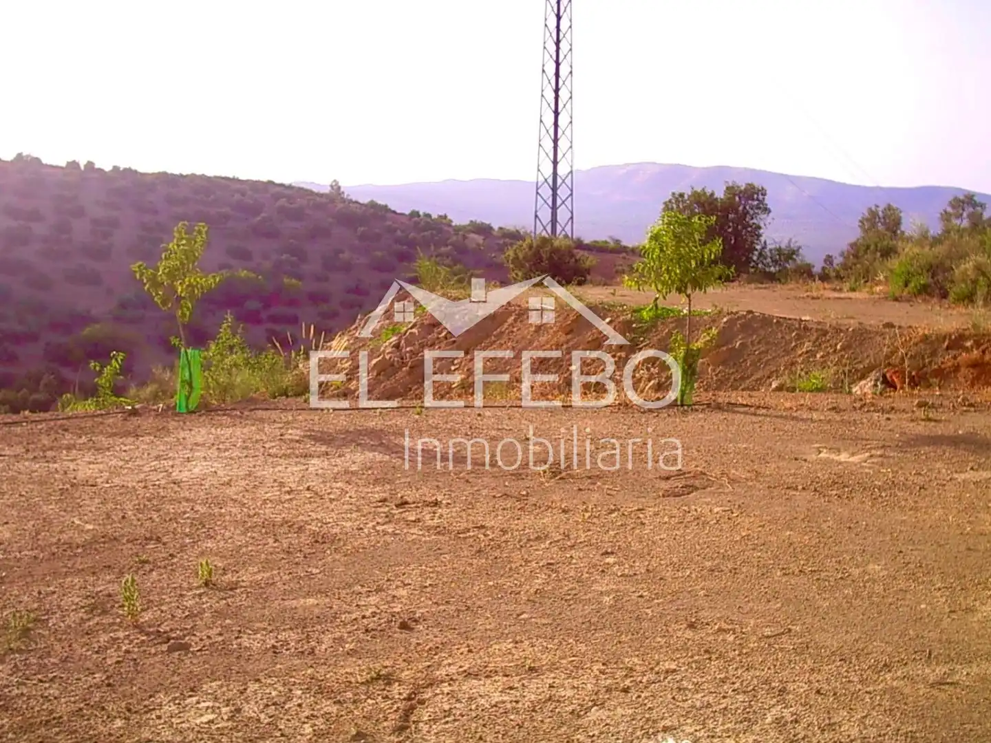 Terreny rústic en venda a Archidona, imagen 5