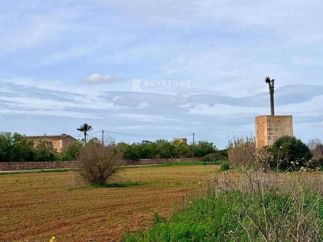Finca rústica en Venta en Campos poble