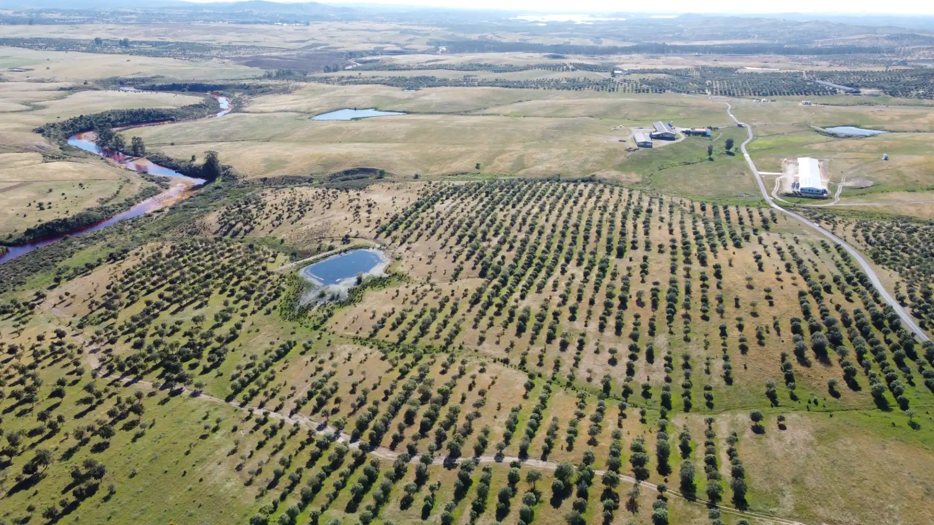 Finca rústica en venta en Paymogo con Jardín privado, Terraza y Amueblado