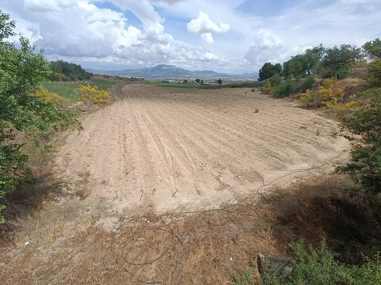 Rural land for sale in Moraleda de Zafayona, imagen 5