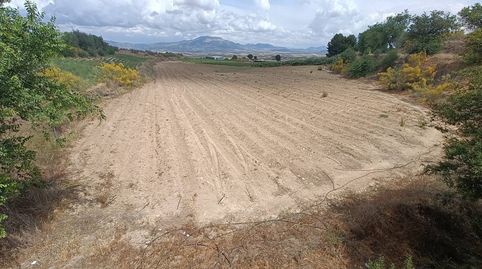 TIERRA DE REGADIO EN MORALEDA DE ZAFAYONA, imagen 5