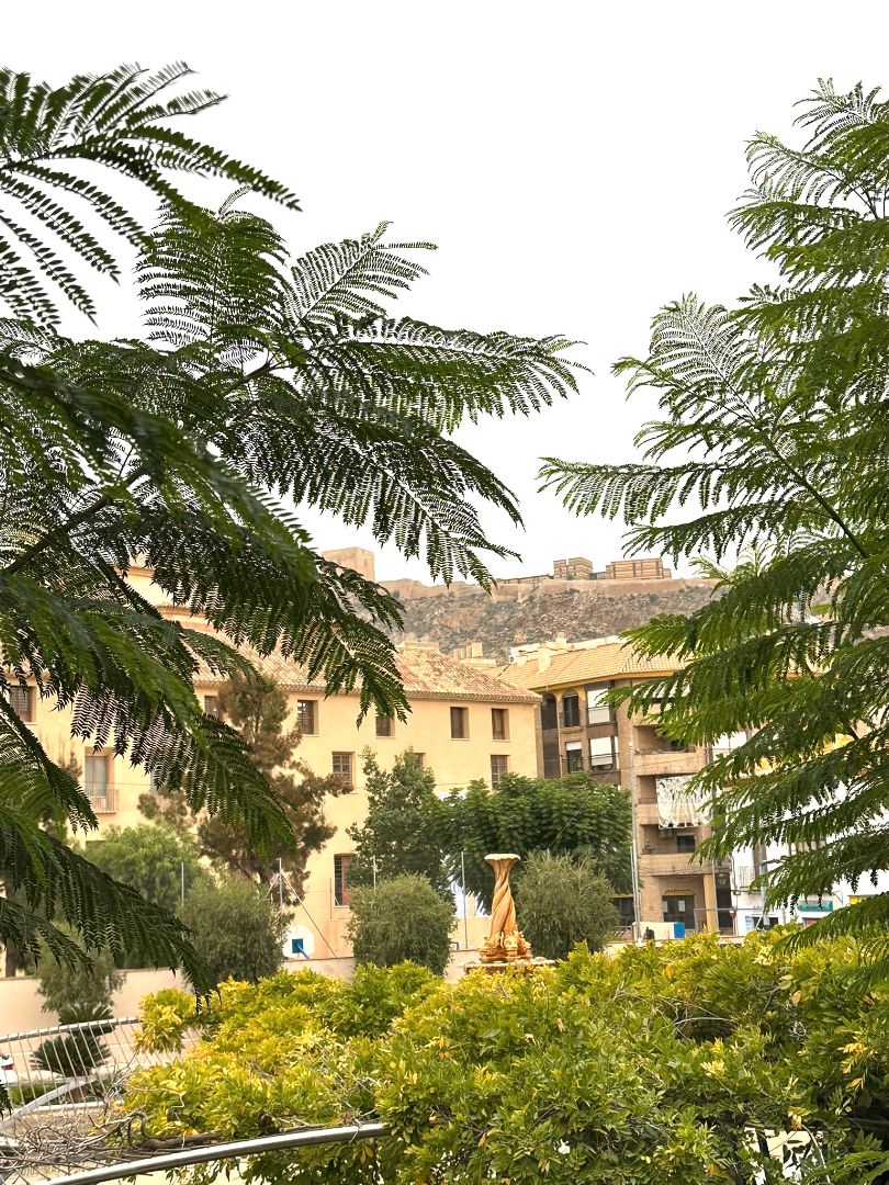 Wohnungen zum verkauf in Plaza de Colón, San Mateo, Lorca Ciudad