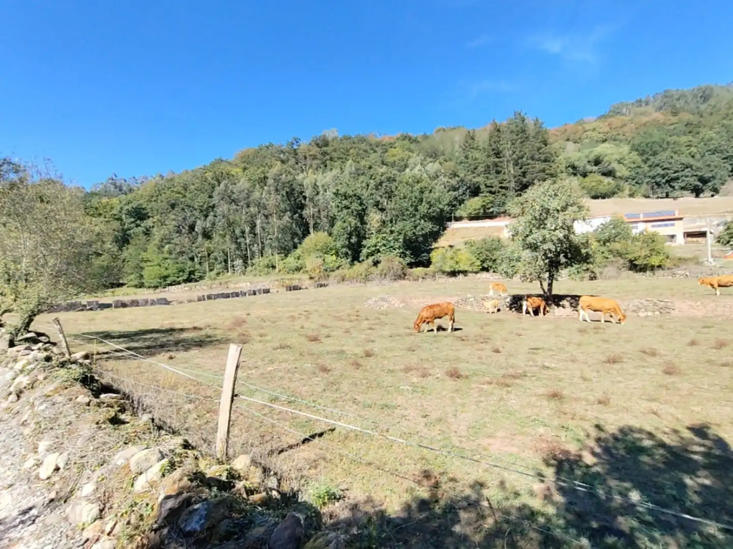 Maison avec jardin à vendre à San Juán de Raicedo - BO SAN JUAN RAICEDO, imagen 22