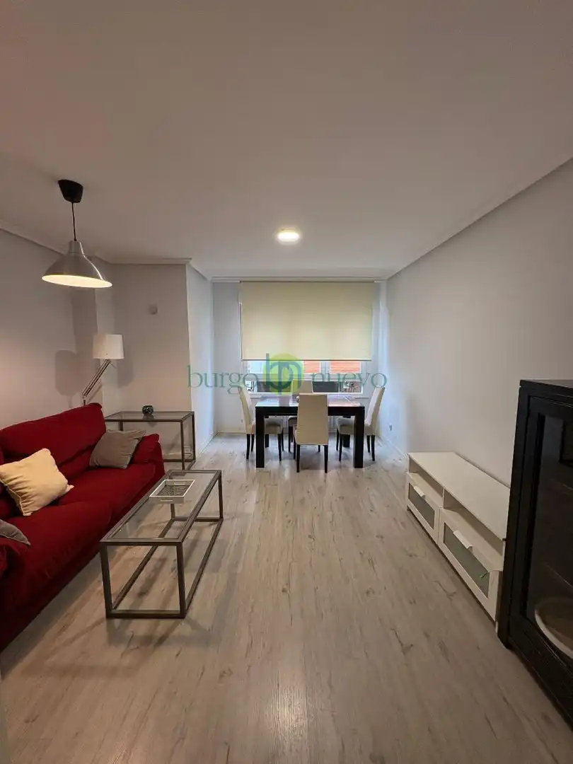 Sala d'estar de Apartament de lloguer en León Capital  amb Calefacció, Traster i Moblat