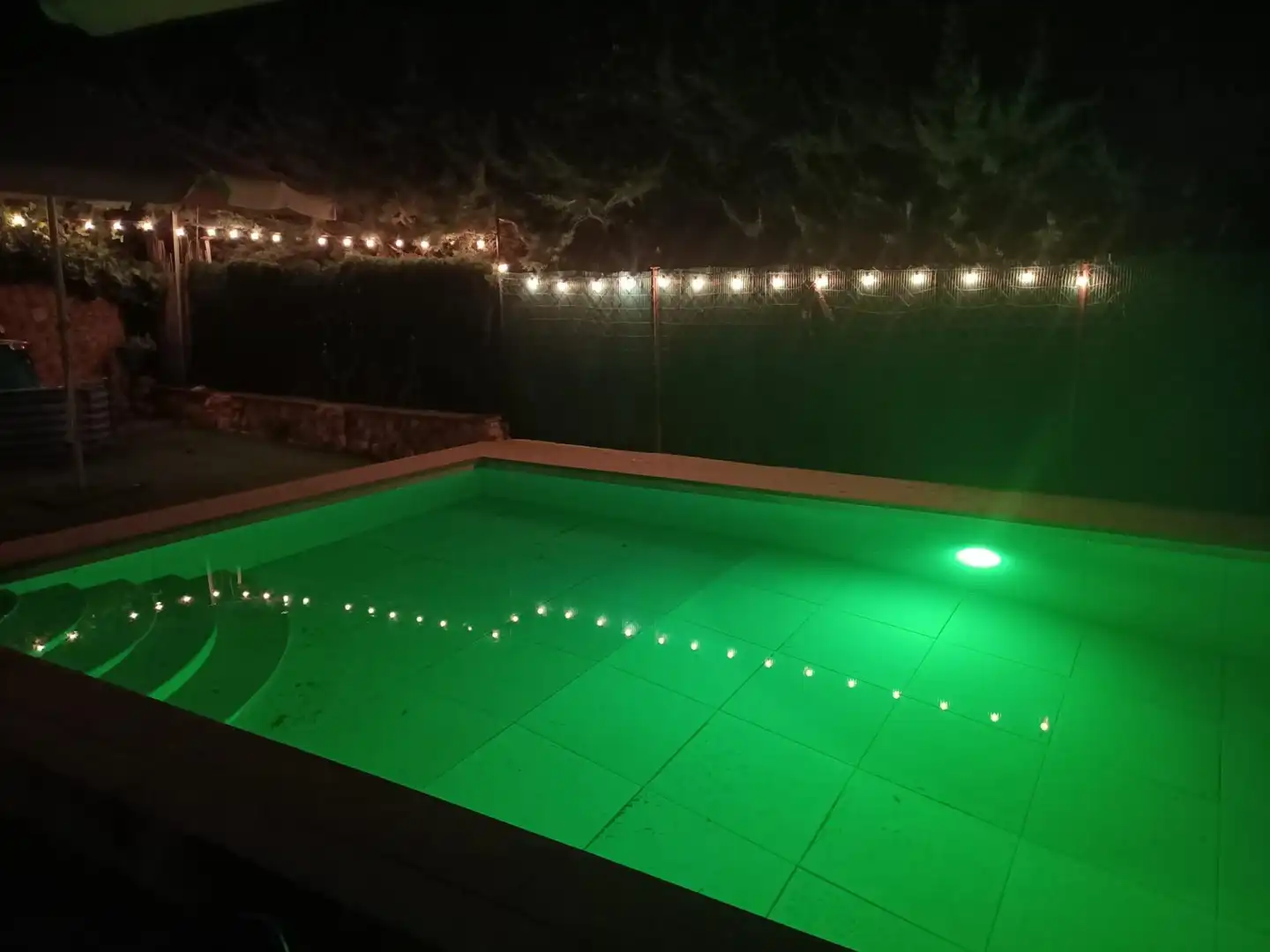 Piscina de Casa o xalet en venda en Piedrabuena amb Aire condicionat, Calefacció i Jardí privat
